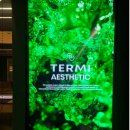 나도나도 | 잠실피부관리 자린고비한 나도 변하게 된 후기