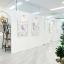 레푸스MS 이미지