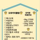 도그 포레스트 이미지