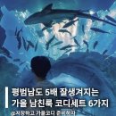 112901-가015-6 | 평범남도 5배 잘생겨지는 가을 남친룩 코디세트 6가지 추천해줄게요!