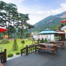 솔향기 가득한 펜션 이미지