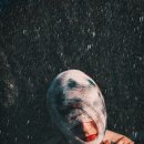 브랜디즈 이미지