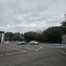 A-6 | 제주 겨울 비자림 A코스 후기 입장료 할인 정보 | 유모차 6개월 아기랑