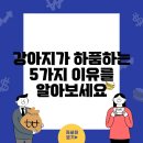 하품하는 사람들