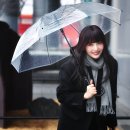 리틀조이 이미지