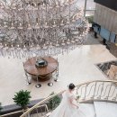 Wedding 1. 갓벽했던 파피루스 웨딩 본식 스냅 후기&lt;대구 인터불고 만촌점 파크빌리지 &gt;