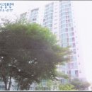 포항시남구14 이미지