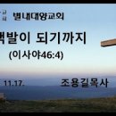 대한예수교장로회대양교회 이미지