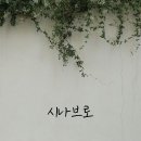 시나브로 이미지