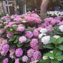 와우휘트니스 이미지