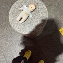 까치몰 | 2026 까치까치 설날