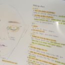아리헤어본 이미지