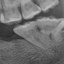 물금센트럴치과의원 이미지