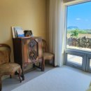 종달차경(메리골드) 이미지