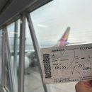 OZ | 인천 대련 아시아나 항공 OZ301 OZ378 후기