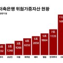 10대 저축은행 위험가중자산 60조…자본 건전성 '발목' 이미지