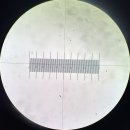 대구일과학고등학교 이미지