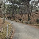 곡성유치원 | 백아산눈썰매장 오픈런 성공! (화순/곡성 근교) 아이랑 겨울 액티비티 꿀잼 후기 &amp; 웨이팅 꿀팁!