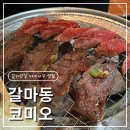 코미오 | [대전갈마동]코미오 니꾸세트 솔직 후기 (매운 라멘까지!)