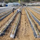 영덕군 농업기술센터 이미지