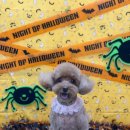 복탄산수 이미지