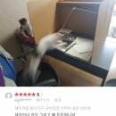 백야독서실