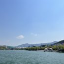 미성복어불고기 이미지