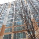 도봉-도봉-2003 이미지