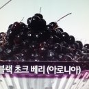 최인수소아청소년과의원 네이버블로그