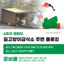 인헌동-19 | 24년 관악 어푸어푸 1기 6회차 길고양이급식소 플로깅 후기