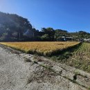 선암축사 이미지