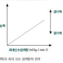 요요 간헐적 회복 테스트(Yo-Yo Intermittent Recovery Test) 이미지