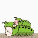 송잠마을경로당 | 위니드투어 사장님여행기_2026설날_치앙마이&amp;치앙라이2탄