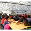 개선농장 이미지