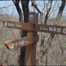 가춘 이미지