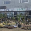 팬지선물코너 | 제주 나무시장 가든센터 | 제주시산림조합 조경수·묘목·화분 한곳에서