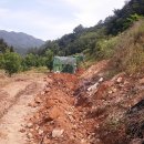 수한농장 이미지