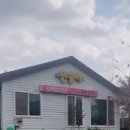민들레산채정식