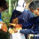 봉동2농장 이미지