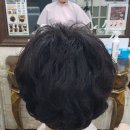 배방가발