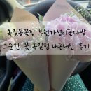 옥길;꽃 | 옥길동꽃집 꽃한송이선물 부천꽃다발저렴한곳 그순간 꽃 옥길점 내돈내산 후기