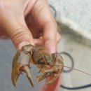 꽃향기펜션 이미지