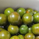 (마감)흑토마토 판매합니다. 이미지