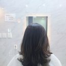 꼬블랑헤어 이미지