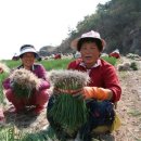 보성사료 이미지