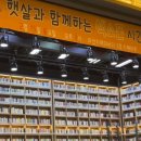 브렌따노 이미지