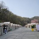 핑고랩