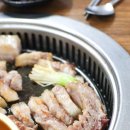 노을빛돼지