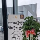 하이타운약국