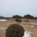 마망펜션 이미지